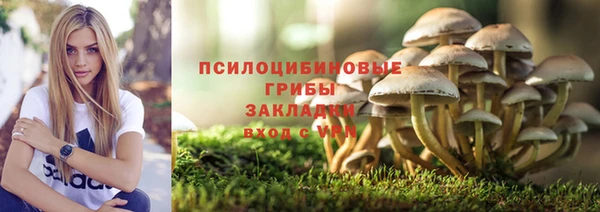 ALPHA-PVP Зеленокумск