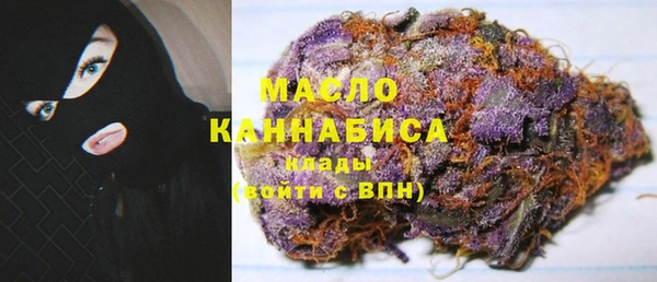 индика Зерноград